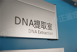 浙江DNA鉴定哪个医院能做,浙江医院办理亲子鉴定办理流程 浙江DNA鉴定哪个医院能做,浙江医院办理亲子鉴定办理流程